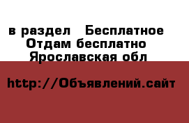  в раздел : Бесплатное » Отдам бесплатно . Ярославская обл.